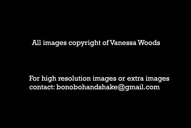 copyright