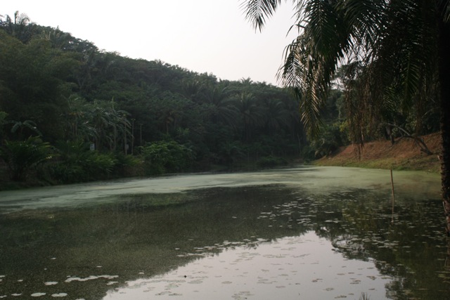lake3