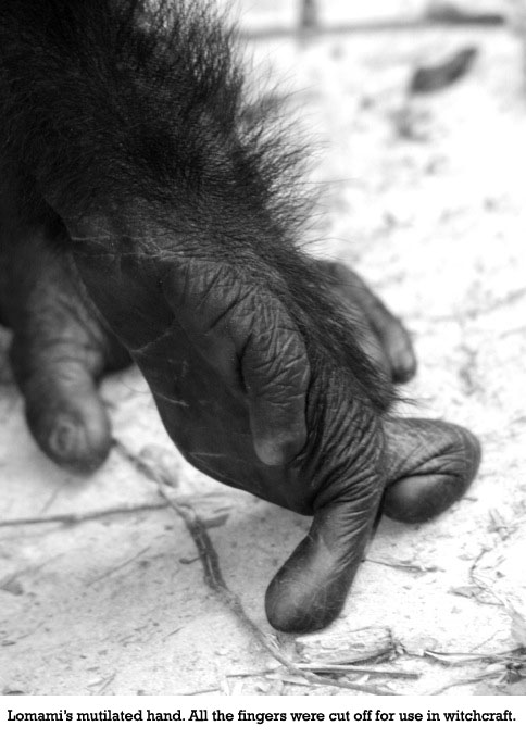 lomamis-mutilated-hand
