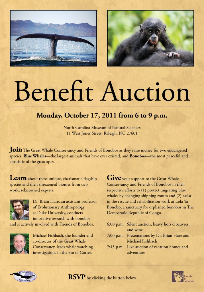 Benefit Auction